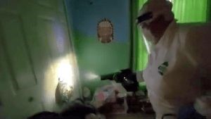 Disinfection Companies