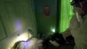 Disinfection Companies Avalon Ca