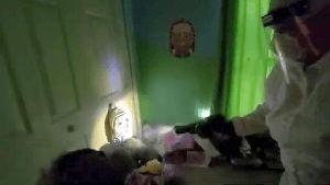 Disinfection Companies Bell Ca