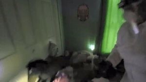 Disinfection Companies Burbank Ca