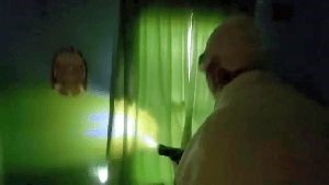 Disinfection Companies Lakewood Ca