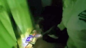 Disinfection Companies Maywood Ca