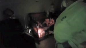 Disinfection Companies Mentone Ca