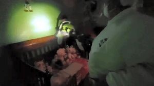 Disinfection Companies Calimesa Ca