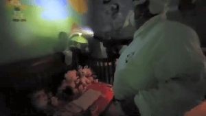 Disinfection Companies Hemet Ca