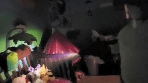 Disinfection Company Avalon Ca