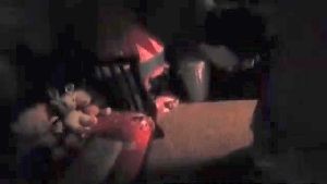 Disinfection Company Lakewood Ca