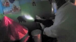 Disinfection Company Whittier Ca